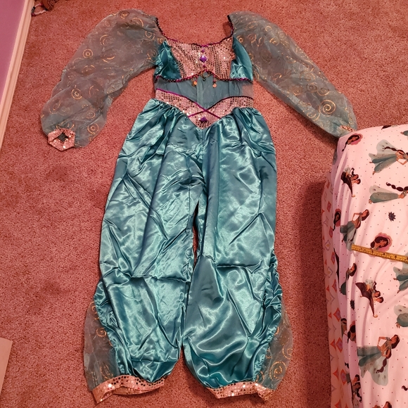 Plus Disney Aladdin Jasmine Women's Adult Costume XXL - Picture 12 of 14